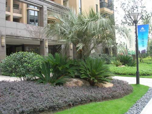 小区绿化设计意向图